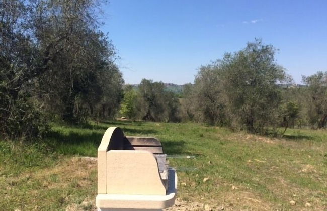 Fattoria Casa Sola - Foto 60