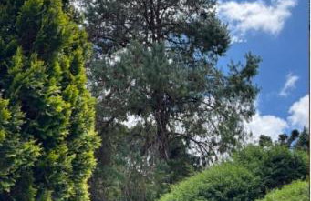 Charme e conforto na Montanha - Condomínio no Morro do Elefante, próximo ao centro - Foto 46
