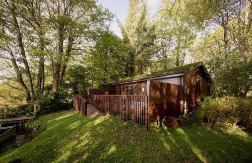 Chiffchaff Lodge with Hot tub - Foto 27