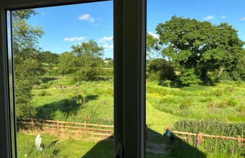 Maesyfelin Isaf Apartment - Foto 5