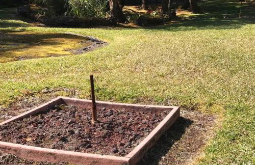 Hau'oli Place Tiki Cottage in Volcano - Foto 17