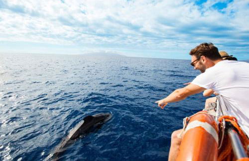 Sagittarius Home - Foto 19