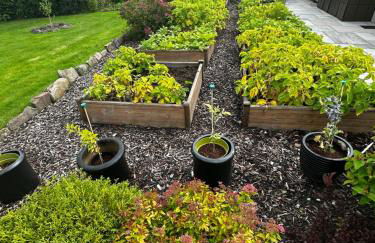 Thornhill cottage with views of the Trossachs - Foto 25