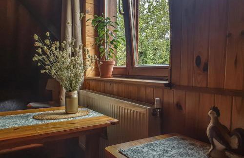 Kałamunka - Foto 41