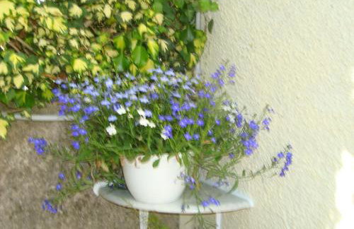 Studio Apartment Lile - Foto 7