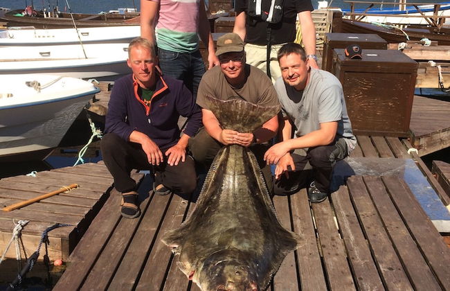 Sotra Rorbusenter - Foto 56