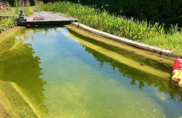 Apartment Joelle mit Sauna, Schwimmteich und Gym - Photo 49