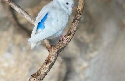 House of sunset 3 - Photo 41