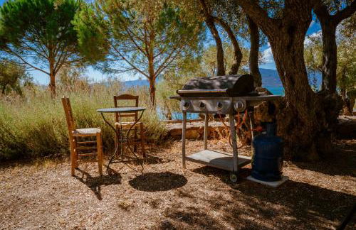 Traditional Architecture Seafront Stone House in 25000sqm Olive Grove - C - Photo 19