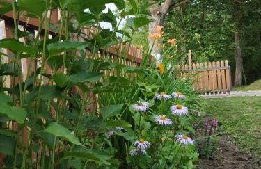 Kraska Dom Wakacyjny w Sercu Puszczy Białowieskiej - Foto 45