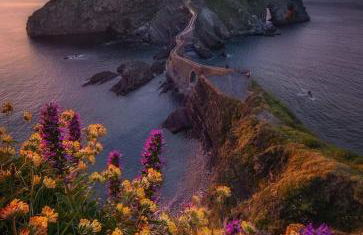 Amalur EBI 741 URDAIBAI - Photo 59