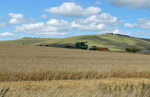 Cosy Rural Retreat, Sleeps 3 & Petfriendly - Foto 57