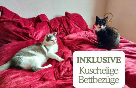 Hundeurlaub - Tiny House im Wald - Foto 3