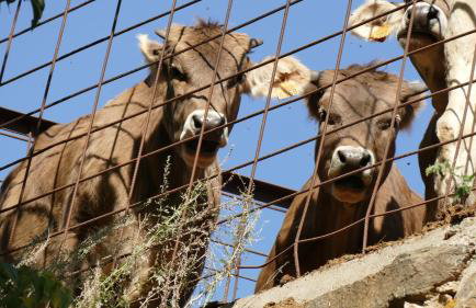 Espectacular Chalet de Montaña Pirineos, Burg - Foto 59