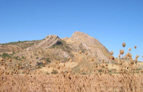 Casa Vacanze Scyauru - Photo 10