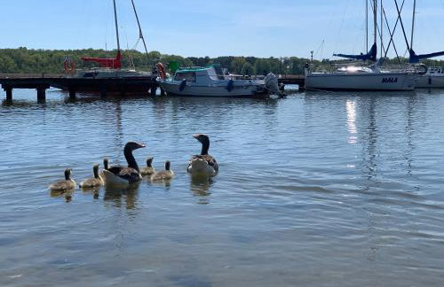 Przy Złotych Piaskach 1 - Foto 62