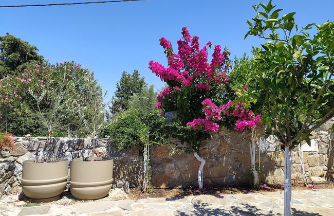 Villa Kastania - Foto 52