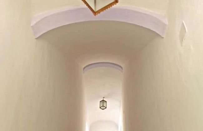 L'Asino Vola - Foto 45