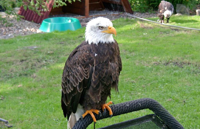 Ferienhaus in Lichtenau am Teutoburger Wald - Foto 39