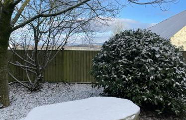 Wrens nest - Foto 22