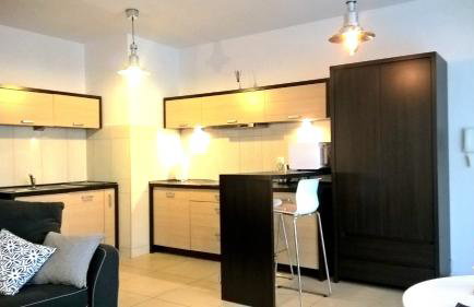 Apartament Wyspa, 2 pokoje, parking gratis - Foto 33