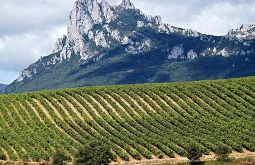 Apartamento Gaztainondoak - Foto 13