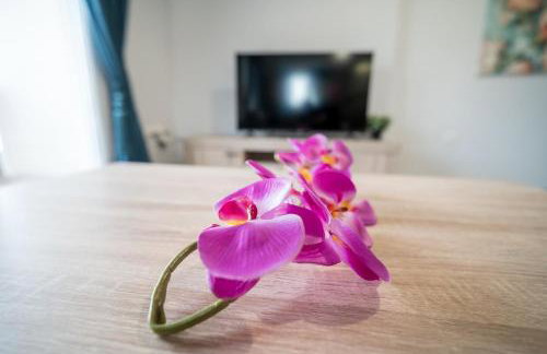 David Luxury Experience Δ3 - Foto 6