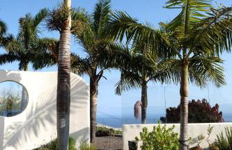 Casa PERSEIDAS - Foto 56