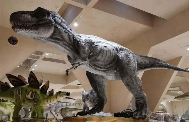 Excursion au musée des météorites et au sentier jurassique - Photo 8