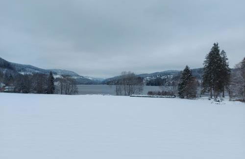 Haus Heidelberg - Foto 73