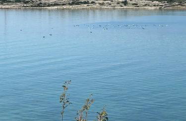 BEACH HOUSE CASKA - Photo 6