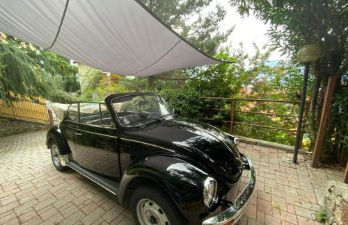 Suitecastlelakeview 2 - Photo 14