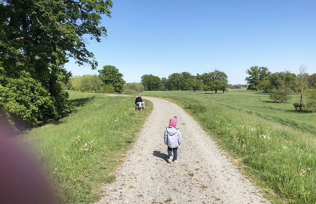 Holiday Home Deichkind on the Elbe Dike - Foto 16