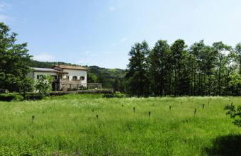 agriturismo trefossata - Foto 51