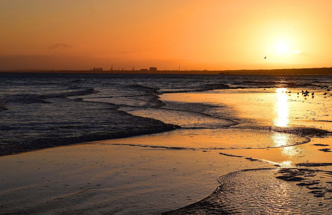Doppelhaushalfte Strandhaus I in Trassenheide - Foto 36