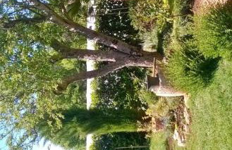 Casetta Olivetta - Foto 16