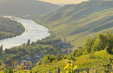 Apartment an der Mosel 2 - Foto 38