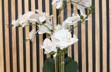 Maison au cœur d Orgelet - Foto 13