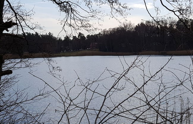 Haus Waldidyll am See 1 - Foto 28