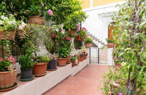 Il gatto Franco - Photo 6