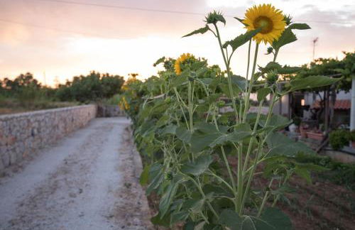 Electra Studios - Foto 19