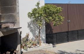 Oasis Pool in the Desert BBQ and Garden - Foto 11