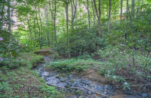 Martins Nest - Foto 31