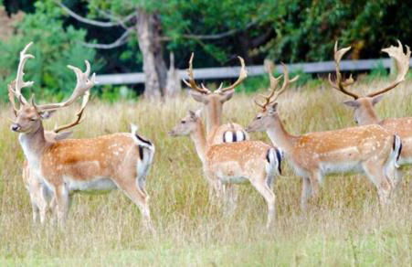 Large modern self contained apartment in Lymington - Foto 15