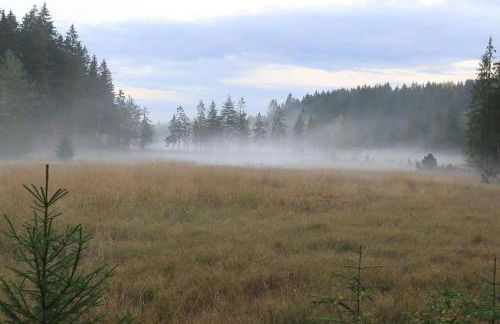 Ferienwohnung Anderswo - Foto 21
