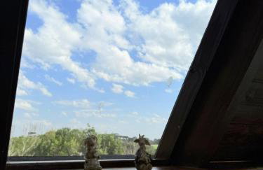 Casa na Árvore em Guarapuava - Foto 42