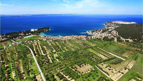 Holiday House Calma - Photo 3