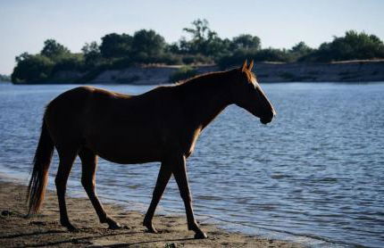 Villa Rio by Valada Village - Foto 77