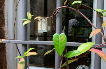 L'élégante - maison de ville avec bains à remous - parking inclus - Foto 25