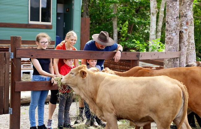 Kur Cow farm - Foto 2